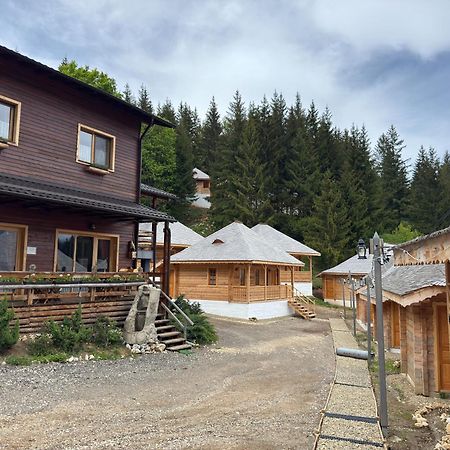 Villa Andolia Moeciu De Sus Exterior foto